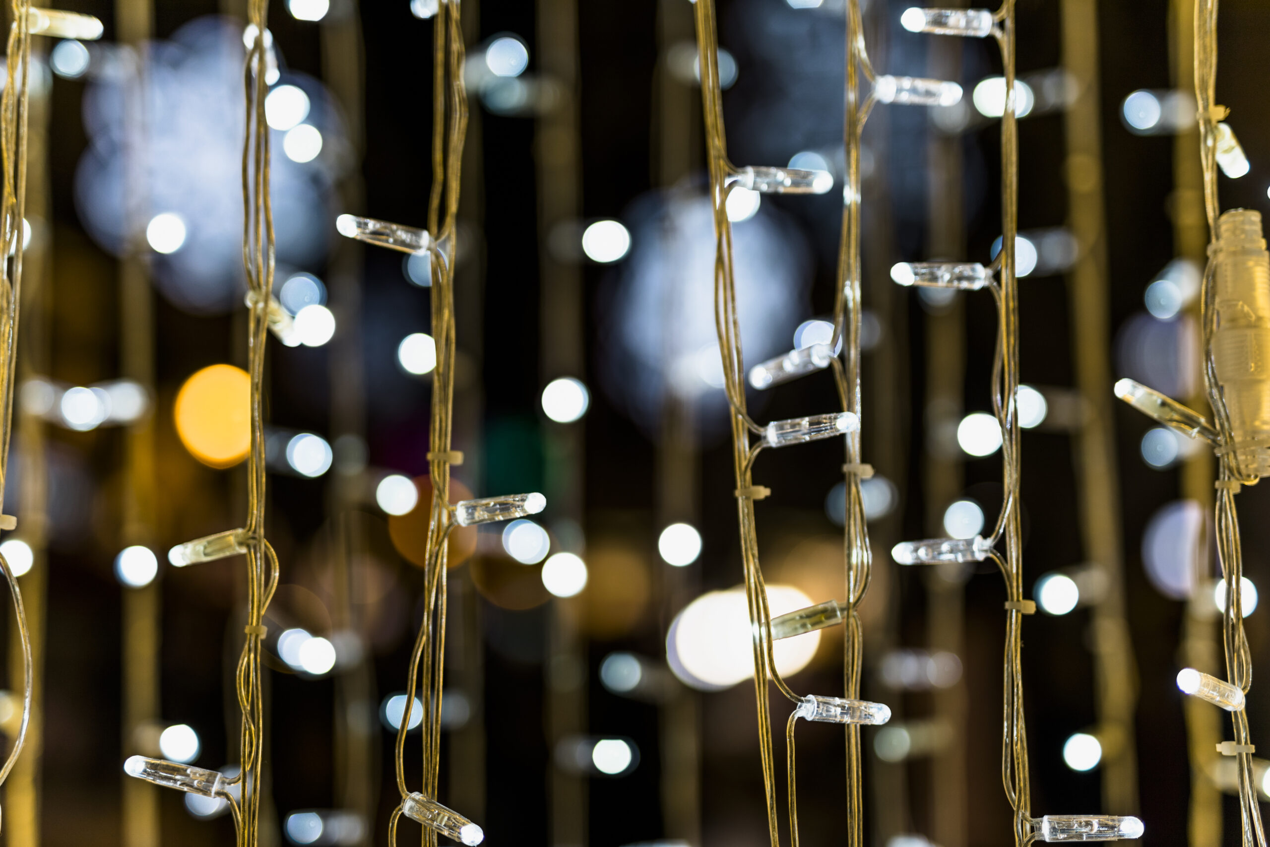 gros-plan-de-fee-lumiere-sur-bokeh-fond